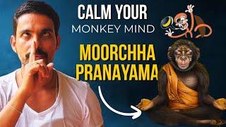 MONKEY MIND ? | MOORCHHA PRANAYAMA | MEDITATION IS EASIER | SLEEP IS EASY NOW | @PrashantjYoga