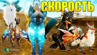 Новая имба Archeage! Сравнение по скорости с топами. Нео звездный кот архейдж MMORPG.