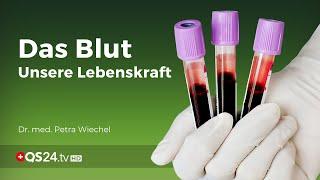 Blood – our life force | Dr. med. Petra Wiechel | NatureMEDICINE | QS24 Health television