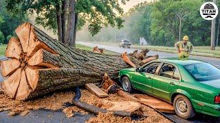 Dangerous Fastest Idiots Cutting Tree Fails Skill With Chainsaw | Tree Falling on Houses #10