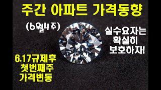 6.17부동산 대책이후 첫번째 6월4주 주간아파트 가격동향(투기과열지구지정으로 잔금대출액이 감소한 실수요자들의 문제점)
