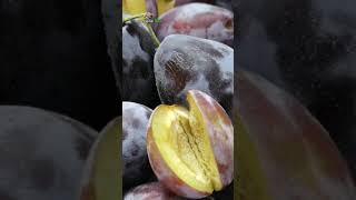 la fruta con mas vitamina C del mundo