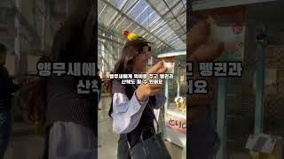 꽃과 새가 어우러진 힐링 공간, 카케가와 화조원