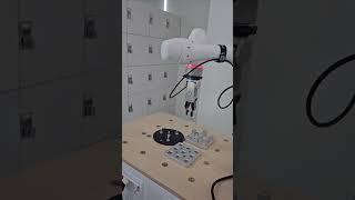 Simple Block Moving with a Collaborative Robot