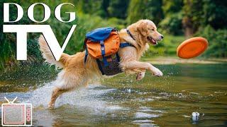 DOG TV: Relaxing Virtual Dog Walk - Entertainment for Dogs -  Relaxing Music & Nature Walk for Dogs