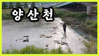 부부배서 Vlog. 배스낚시 오랜만에 찾아간 필드 #배스 #배스낚시 #양산천