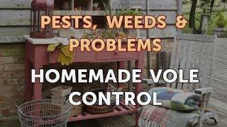 Homemade Vole Control