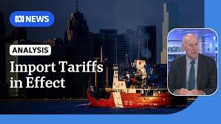 Trump's import tariffs could spark global trade war, expert says | ABC NEWS