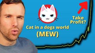 The Dangers of this Mew Rally ️ Cat in a Dogs World Crypto Token Analysis