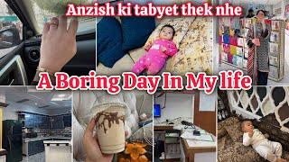 A DAY IN MY LIFE | Anzish ki tabyet bhi thek nahi | BACK TO HOME 