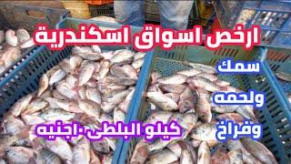 ارخص الاسواق لبيع| السمك ولحمه وفراخ وخضار| سوق باب عمر باشا