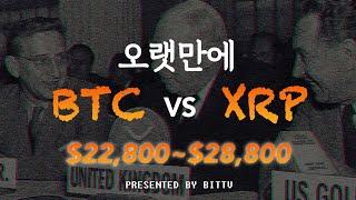 마이클세일러 위험하다ㅣJP모건ㅣ똑뚝한 소비자는 XRP를 얻는다.