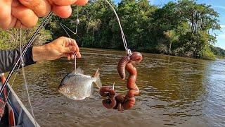 AQUI O SISTEMA É BRUTO... Pescaria com isca natural na Amazônia.