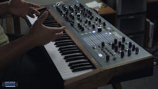 Arturia PolyBrute Brass & String Patch Demo