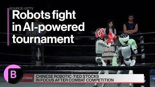 Chinese AI-Powered Robots Show Off Fighting Skills