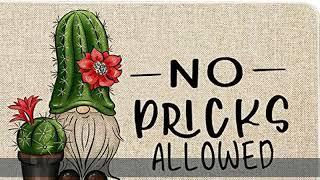 Roszwtit Spring Summer Door Mat 30 X 17 Inch No Picks Allowed Cactus Gnome Doormat Indoor Outdoor E