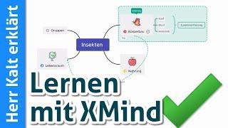 XMind für Windows/Mac Anleitung: Mindmaps zum Lernen nutzen