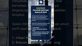 perih saat kencing#edukasikesehatan #penyakitmenularseksual #kesehatanreproduksi#kesehatanpria