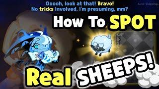 How To Spot Real Sheeps! Game of Cards I Cookie Run Kingdom