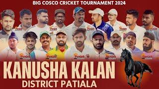 Day-1 || Kansuha Kalan Patiala Cricket Tournament || 2024 @Surjitsinghsandhu89