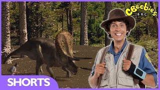 Andy's Dinosaur Adventures - Triceratops Facts - CBeebies