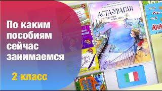 Пособия 2 класс: Математика, русский, логика, география | Анна Чижова