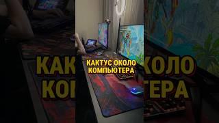 А вы знаете зачем ставят кактусы около компьютера? #fortnite #фортнайт #games