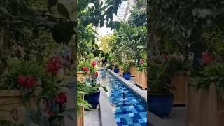 Ew David, of course you can go to Botanic Garden alone. The #USBotanicGarden is free & open daily.