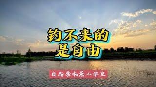 ..........~家庭和办公室的大自然【自然居水景记】