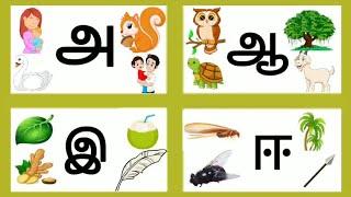 Uyir yeluthukkal/Tamil Alphabets/saye art and craft/அஆஇஈ வரிசை/உயிர் எழுத்துக்கள்