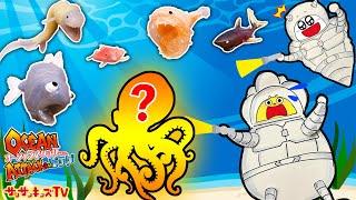 海の大冒険！深海を探検して伝説の生き物を発見せよ！探検ごっこ・デアゴスティーニ【オーシャンアタック&Co.（アンドコ） ビッグ】子供向け知育教育サンサンキッズTV