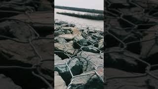 Сотри его из Memory Виктория Дайнеко. (Алексей Лодочников)