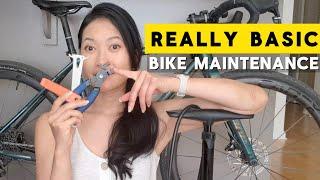 Bike Maintenance Tips: Start with these tools!