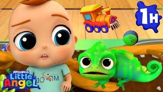 My New Little Pet! | Animals for Kids | Funny Cartoons | Learn about Animals