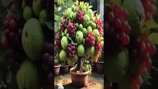 #gardening #fruit #plants #garden #satisfying #farming