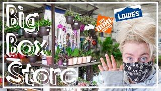 Big Box Store Houseplant Shopping! Go Plant Shopping With Me At Home Depot & Lowes!