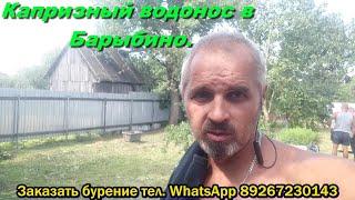 Абиссинская скважина.В Барыбино.