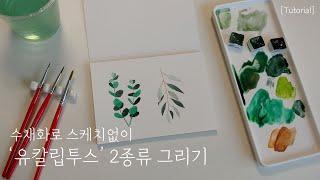 [Tutorial] Lv.1 스케치없이 수채화로 유칼립투스 그리기│Painting Eucalyptus with Watercolors