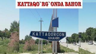 KATTAQO`RG`ON