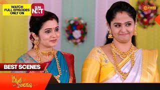 Aa Okati Adakku - Best Scenes | 02 Feb 2024  | Gemini TV | Telugu Serial