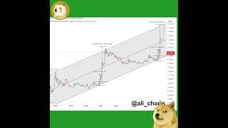 你可能无法相信！狗狗币暴涨即将到来！  #狗狗币 #dogecoin #DOGE