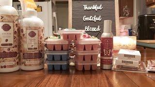 Scentsy Clearance Haul! 