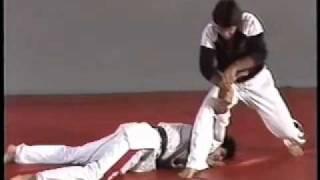 Mr. Fariborz Old Hapkido Demo in Slow Motion