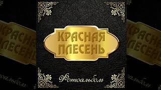 НОВИНКА!!! ПЕСНЯ 2021 ГОДА!!! КРАСНАЯ ПЛЕСЕНЬ - ФОТОАЛЬБОМ | ПАВЕЛ ЯЦЫНА
