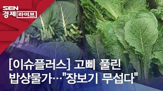 [이슈플러스] 고삐 풀린 밥상물가…"장보기 무섭다"