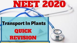 NEET Biology Quick Revision | Transport In Plants | Important Concepts | NEET