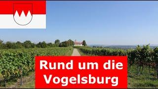 ‍️ Sonnige Wein-Wanderung rund um die Vogelsburg am Main (bei Volkach/Nordheim/Escherndorf)