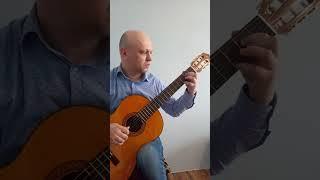 Guitar Inspiration 2023 | Валерий Некоз