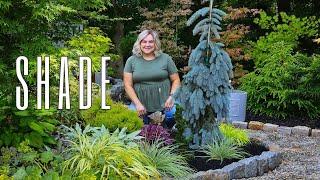 Shade Garden Tour with LOTS of COLOR! Shade Garden Inspiration. July 2024