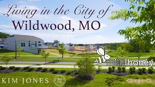 Living in Wildwood Missouri (St. Louis County)  | Exploring Milk & Honey Boutique and Wine Bar